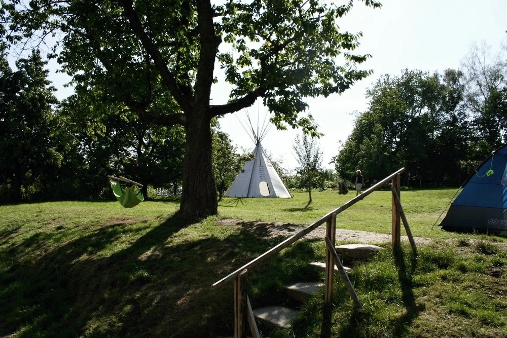 Kemp Javořice