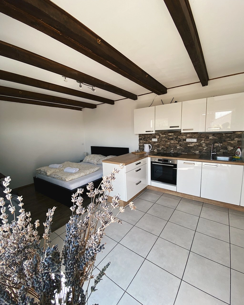 Dvoulůžkový apartmán (Apartmán s 1 ložnicí)
