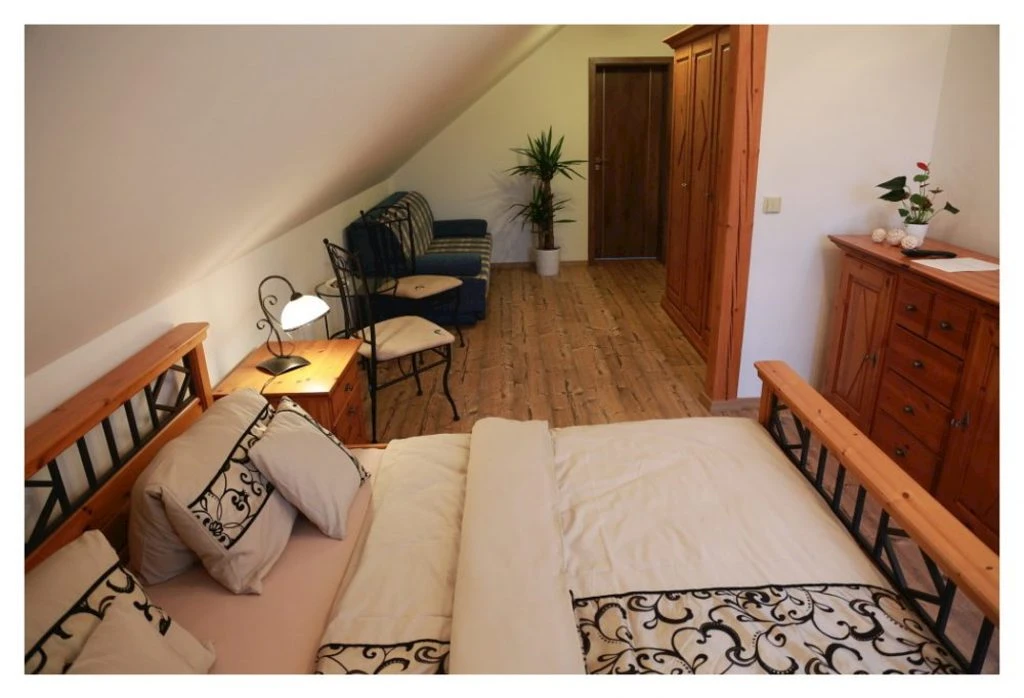 Dvoulůžkový pokoj Holandský (Dvoulůžkový pokoj s 2 přistýlkami)