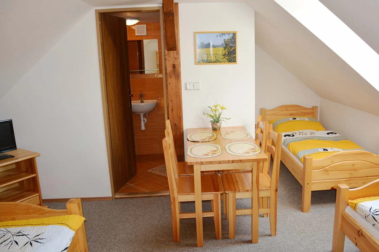 Apartmán žlutý se samostatným vchodem (Apartmán s 1 ložnicí)