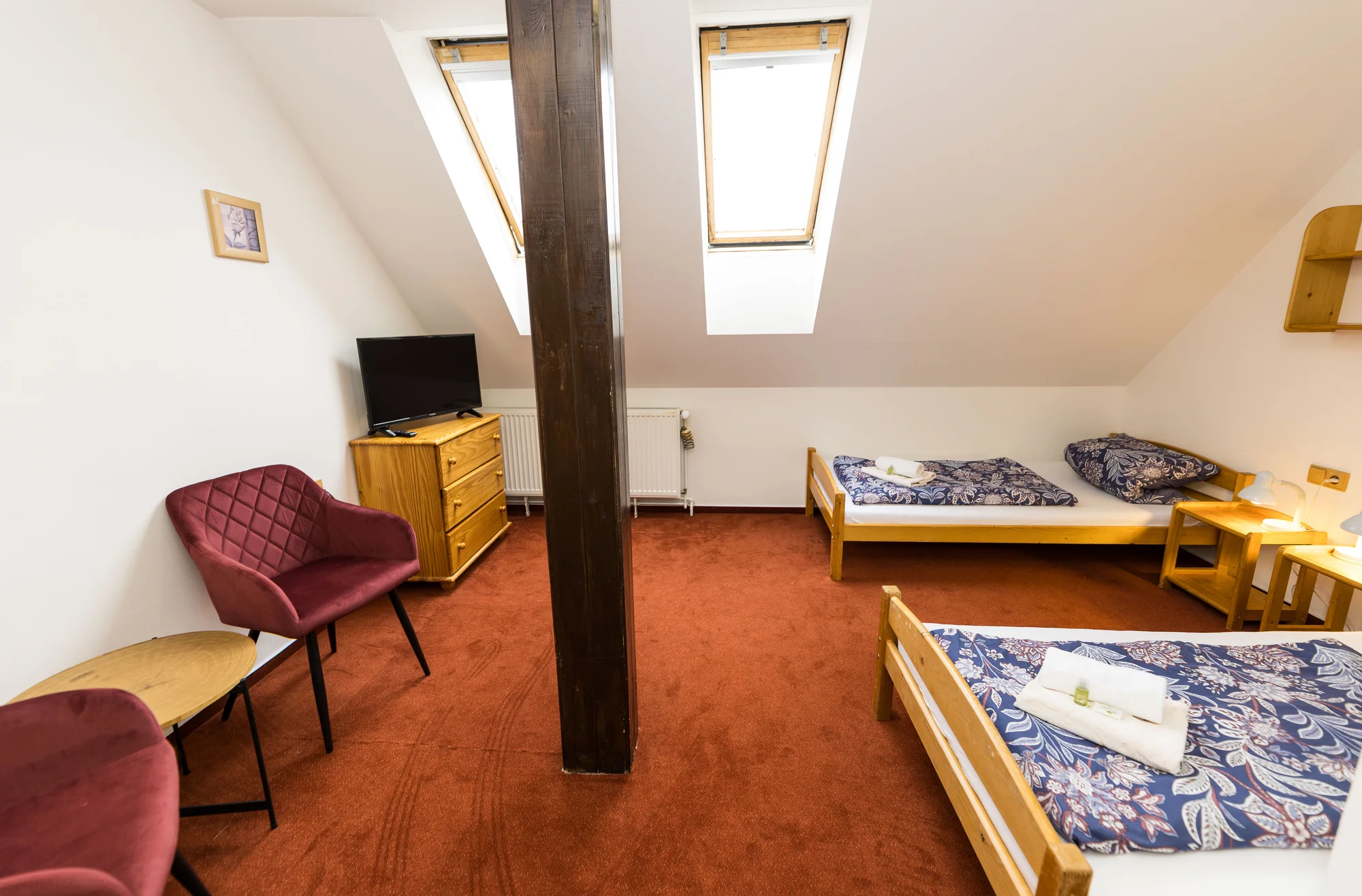 Hotel Trosky