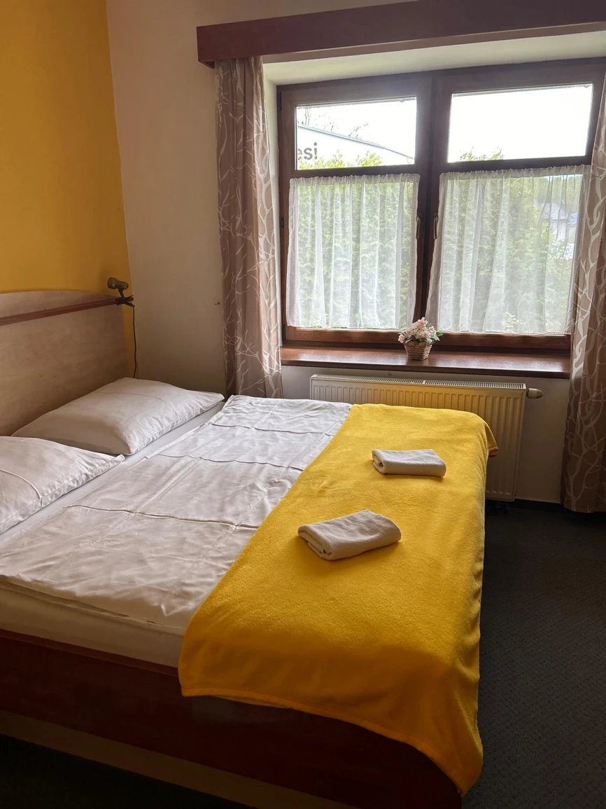 Penzion Pod Špejcharem - Třeboň