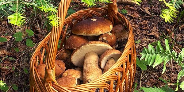 Ranč Double M - Libečov