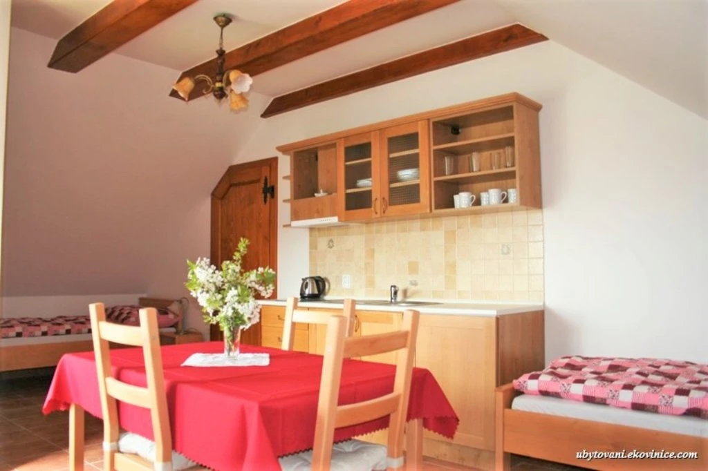 Apartmán s 1 ložnicí