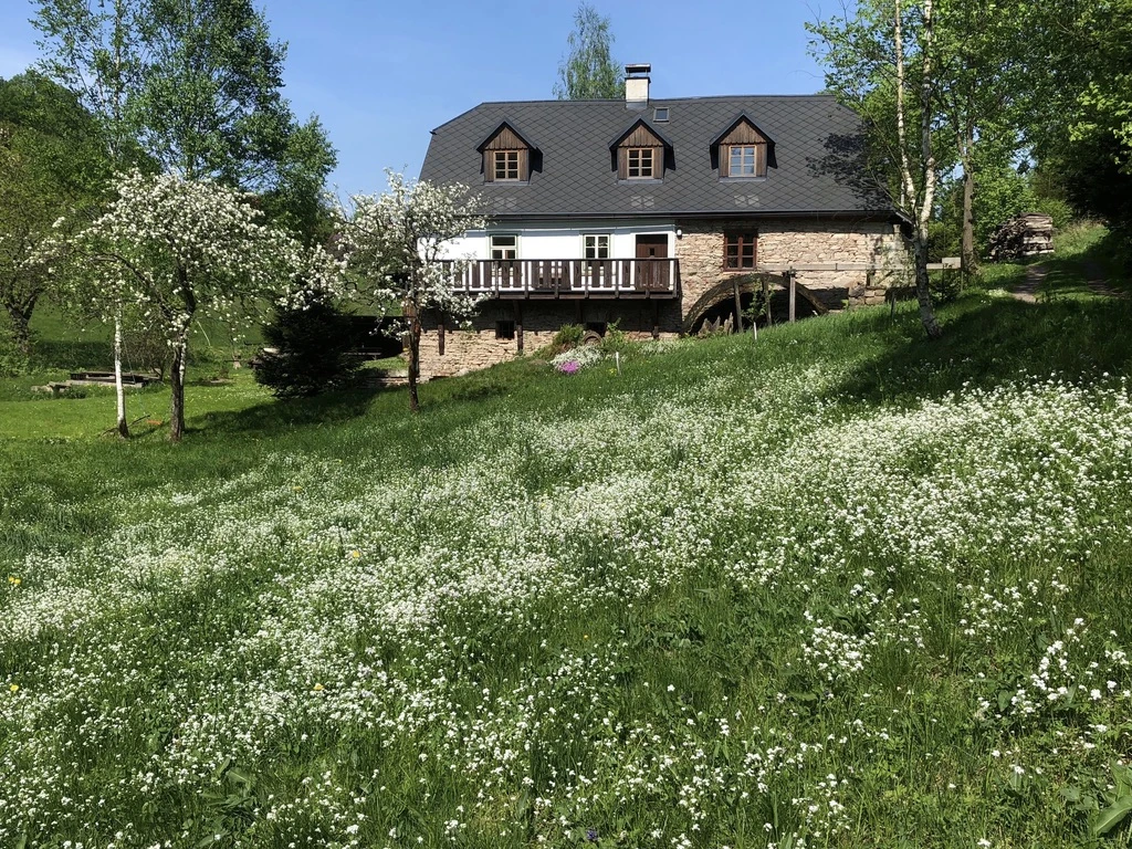 Scholzův mlýn - České Petrovice - Orlické hory