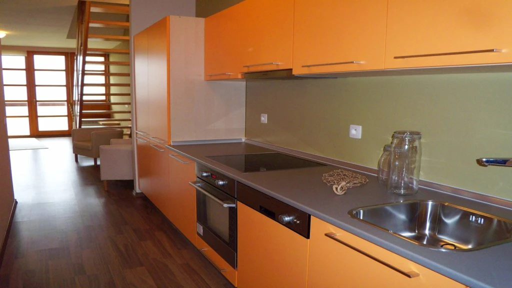 Apartmán Říčky U Sněžného Lva - Říčky v Orlických horách