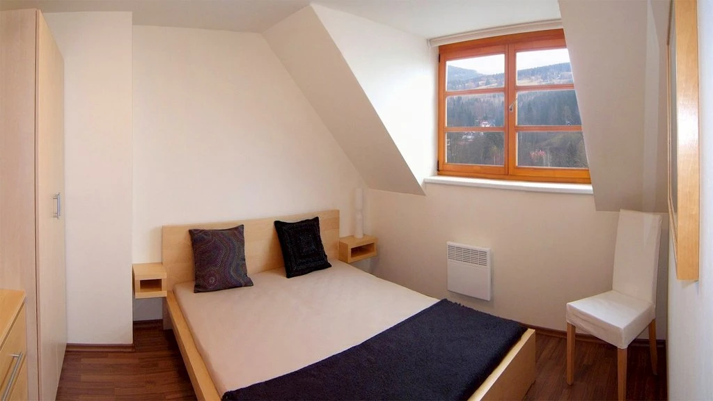 Apartmán Říčky U Sněžného Lva - Říčky v Orlických horách