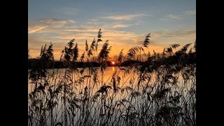 Posed V remízu - Nová Ves