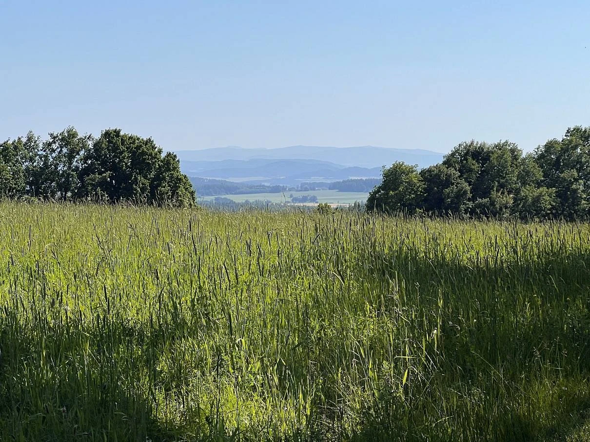 Posed V remízu - Nová Ves