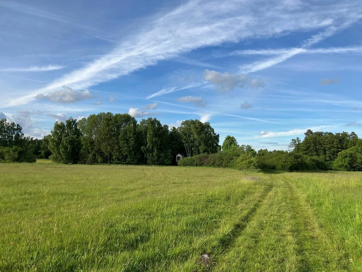 Posed V remízu - Nová Ves