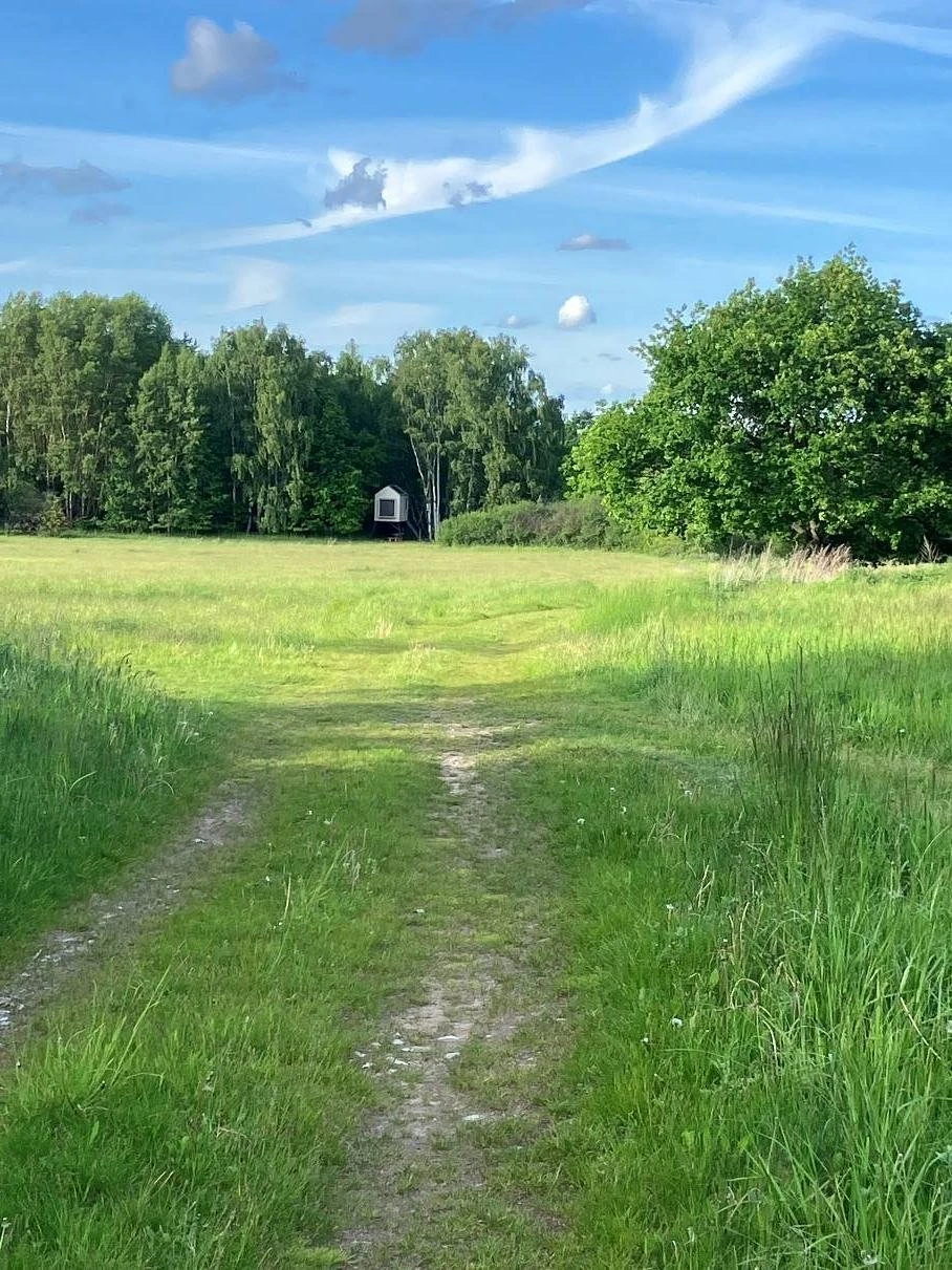 Posed V remízu - Nová Ves