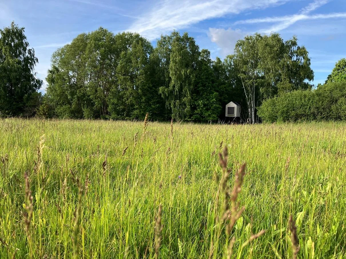 Posed V remízu - Nová Ves