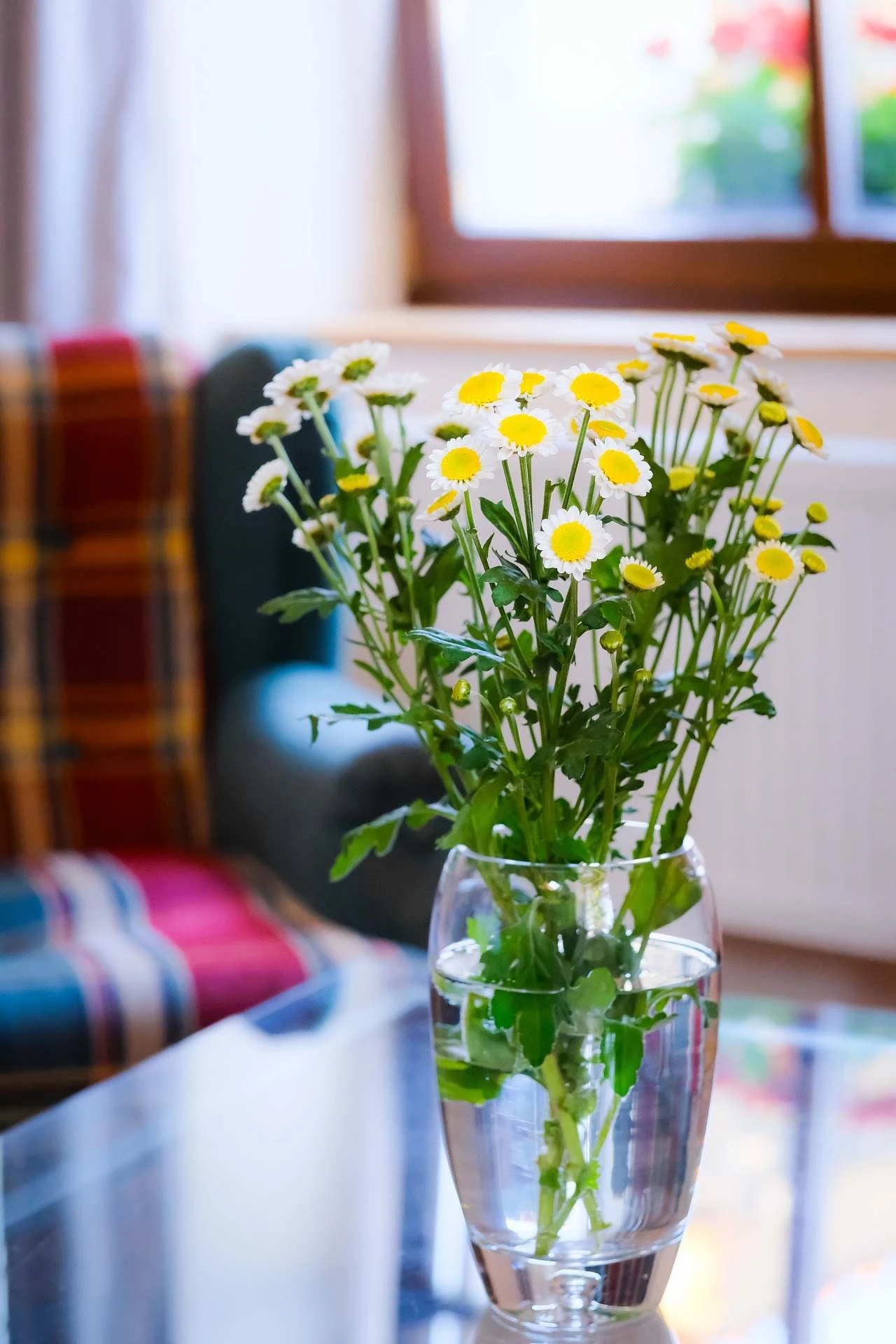 Chalupa Novákova vyhlídka - Smederov