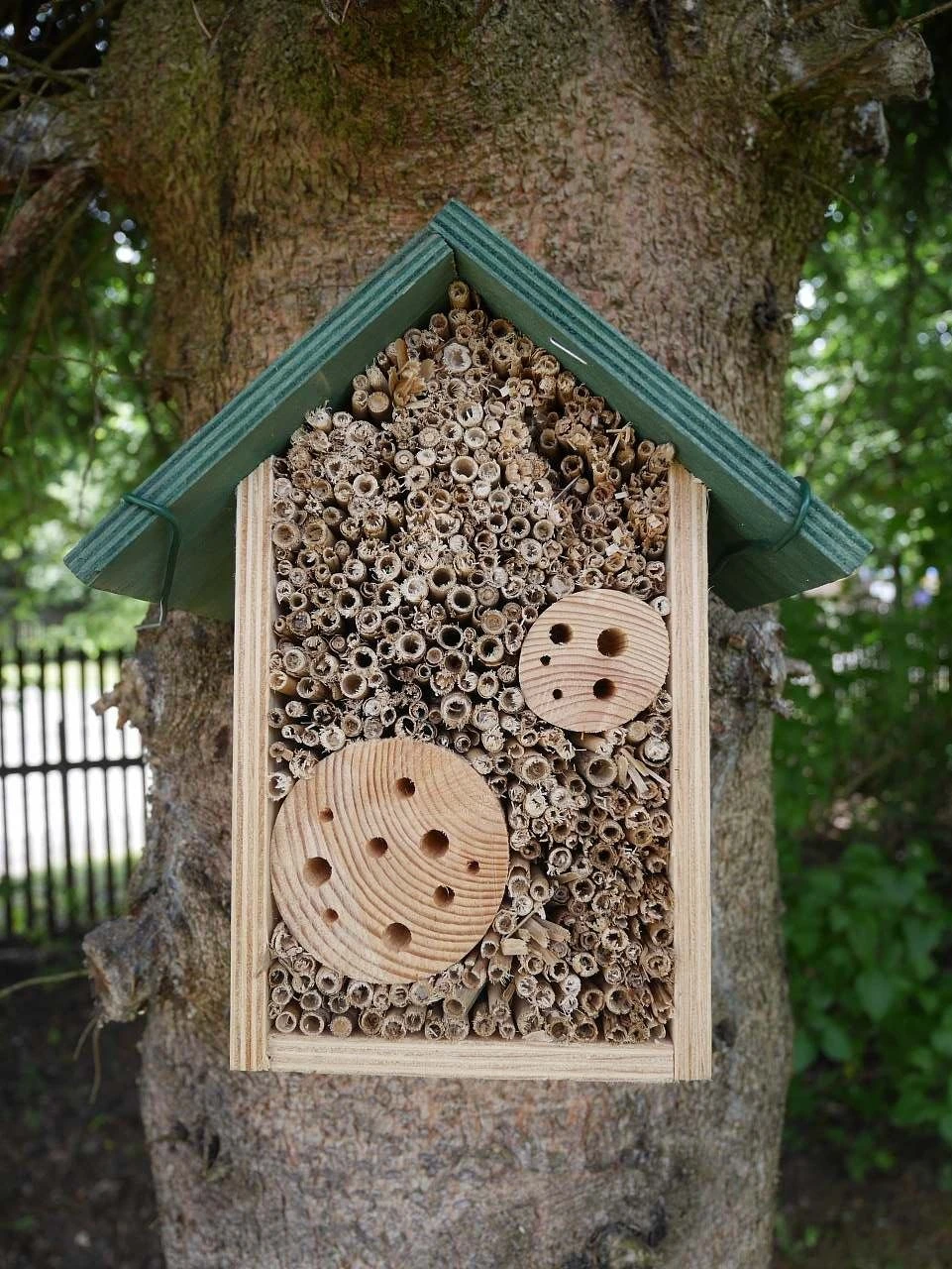 Sonja House - Abertamy