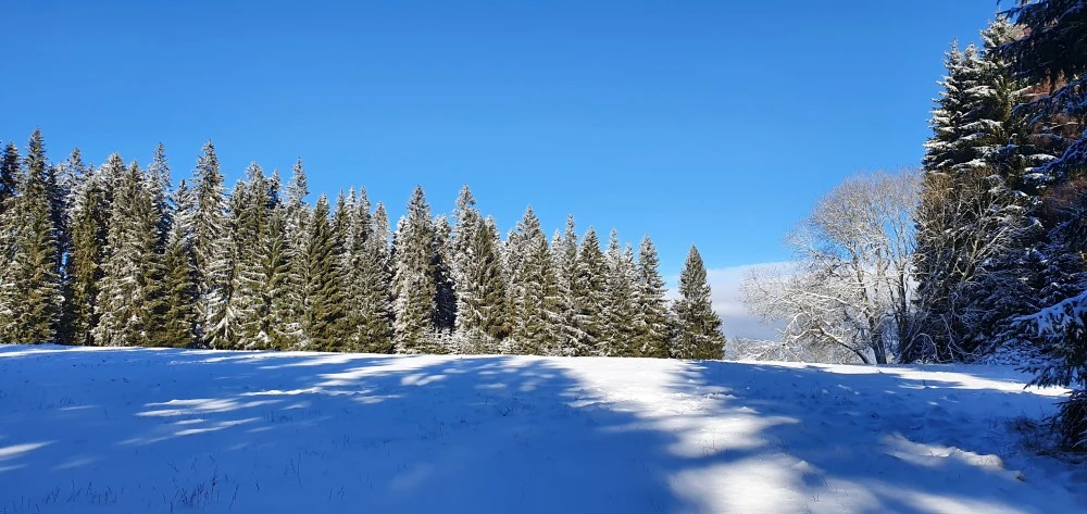 Penzion U Dvou pánů - Pernink