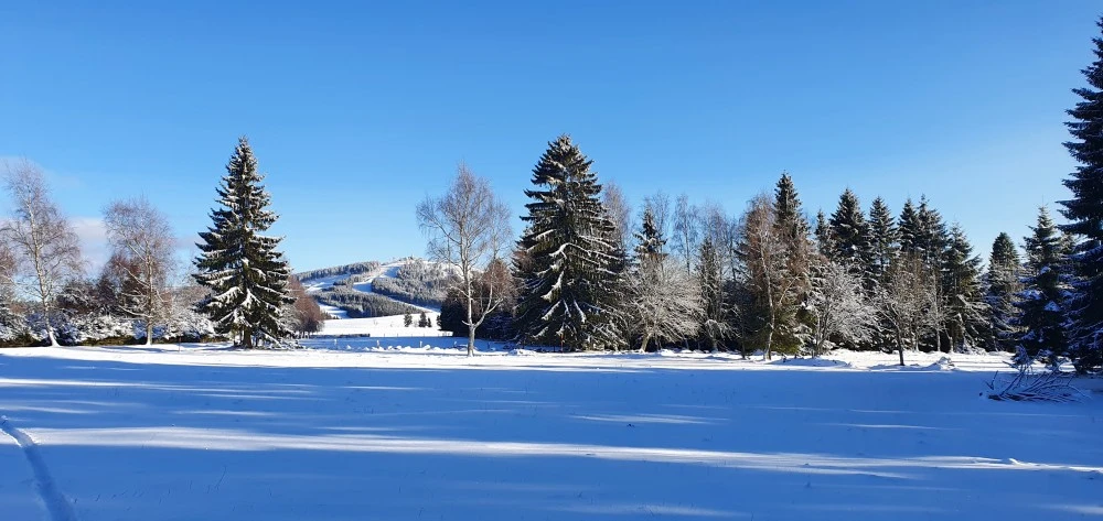 Penzion U Dvou pánů - Pernink