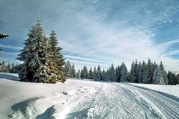 Emily House - Abertamy