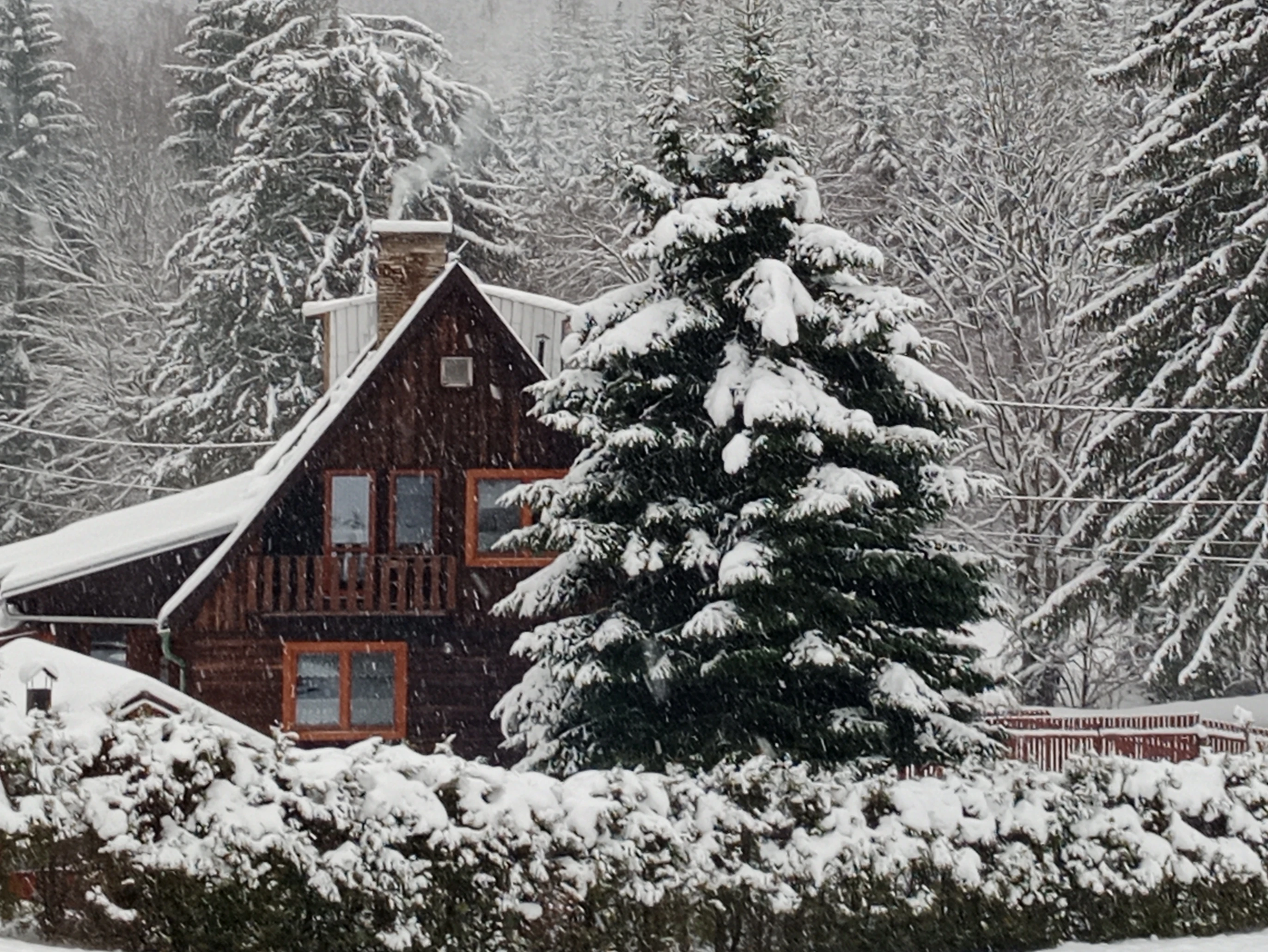 Chalupa u Kocoura - Velké Karlovice