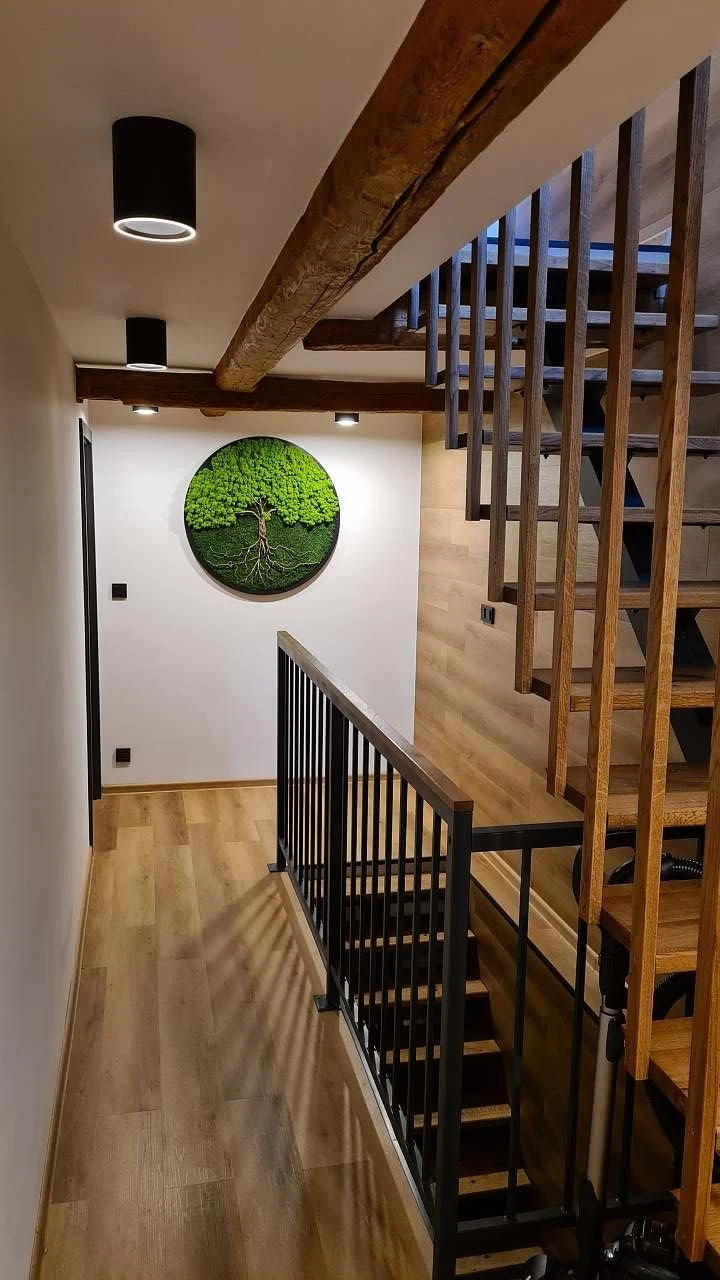 Chata Iva - Boží Dar