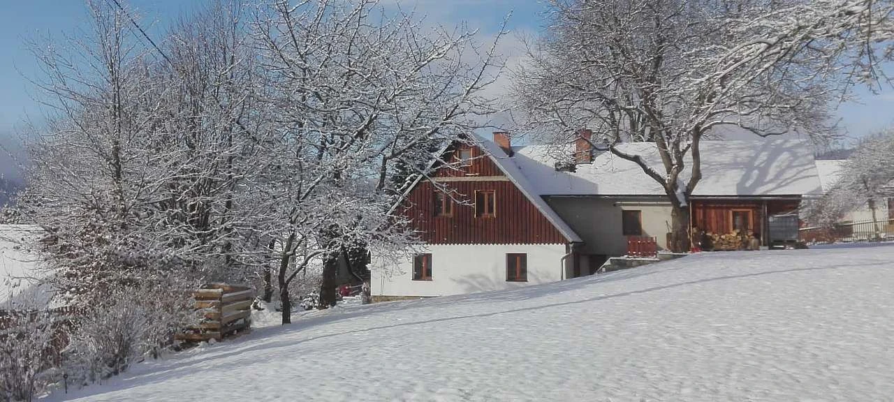 Chalupa u Ladika - Karlovice