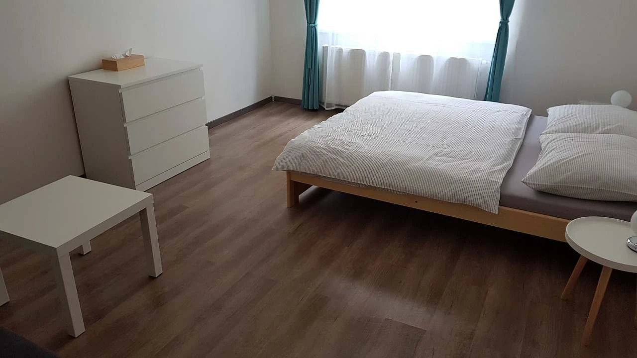 Apartmán Pod Zámkem - Děčín