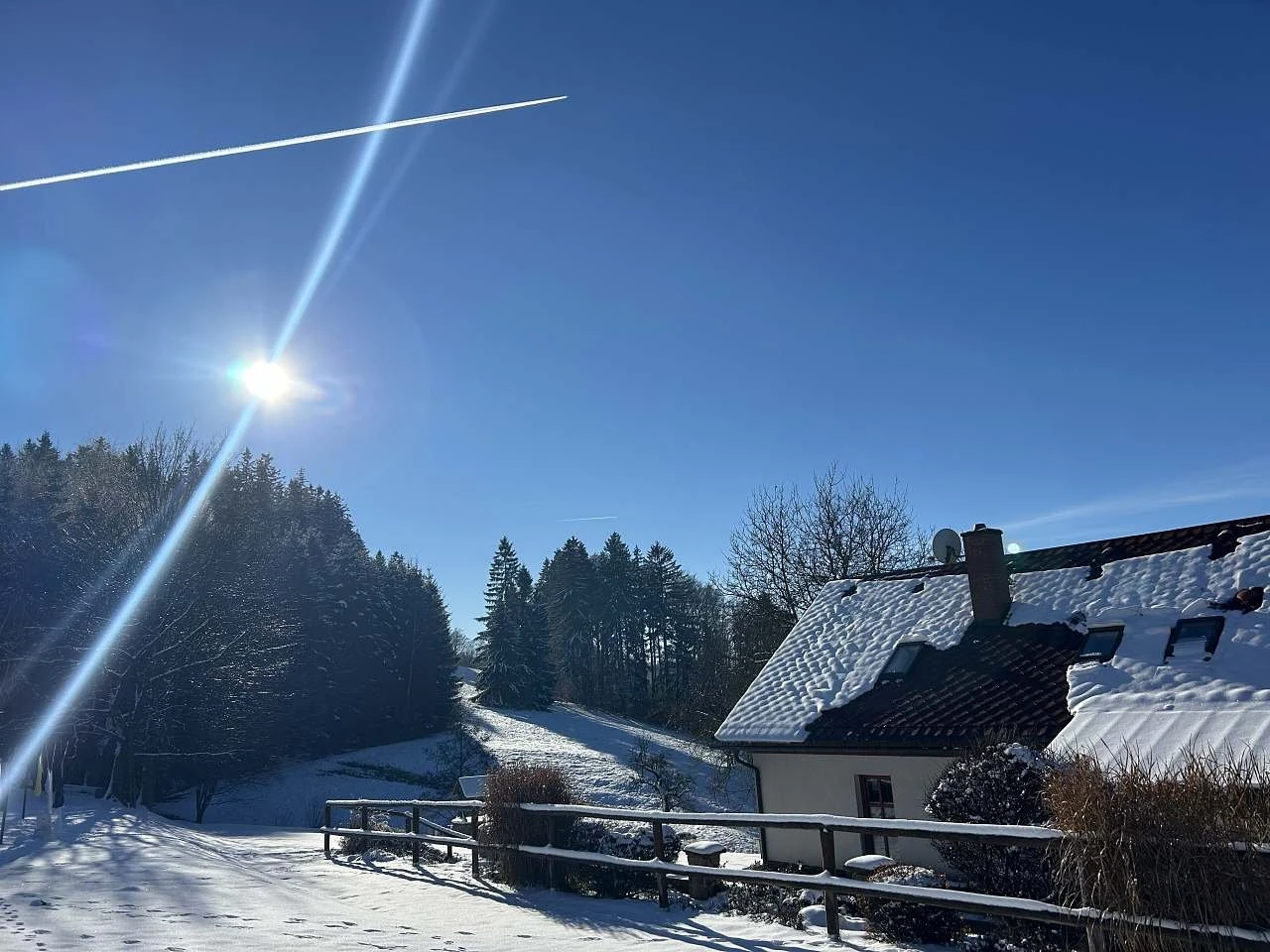 Apartmán Na Samotě u lesa - České Petrovice