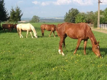 Chalupa Sedmička - Újezdec