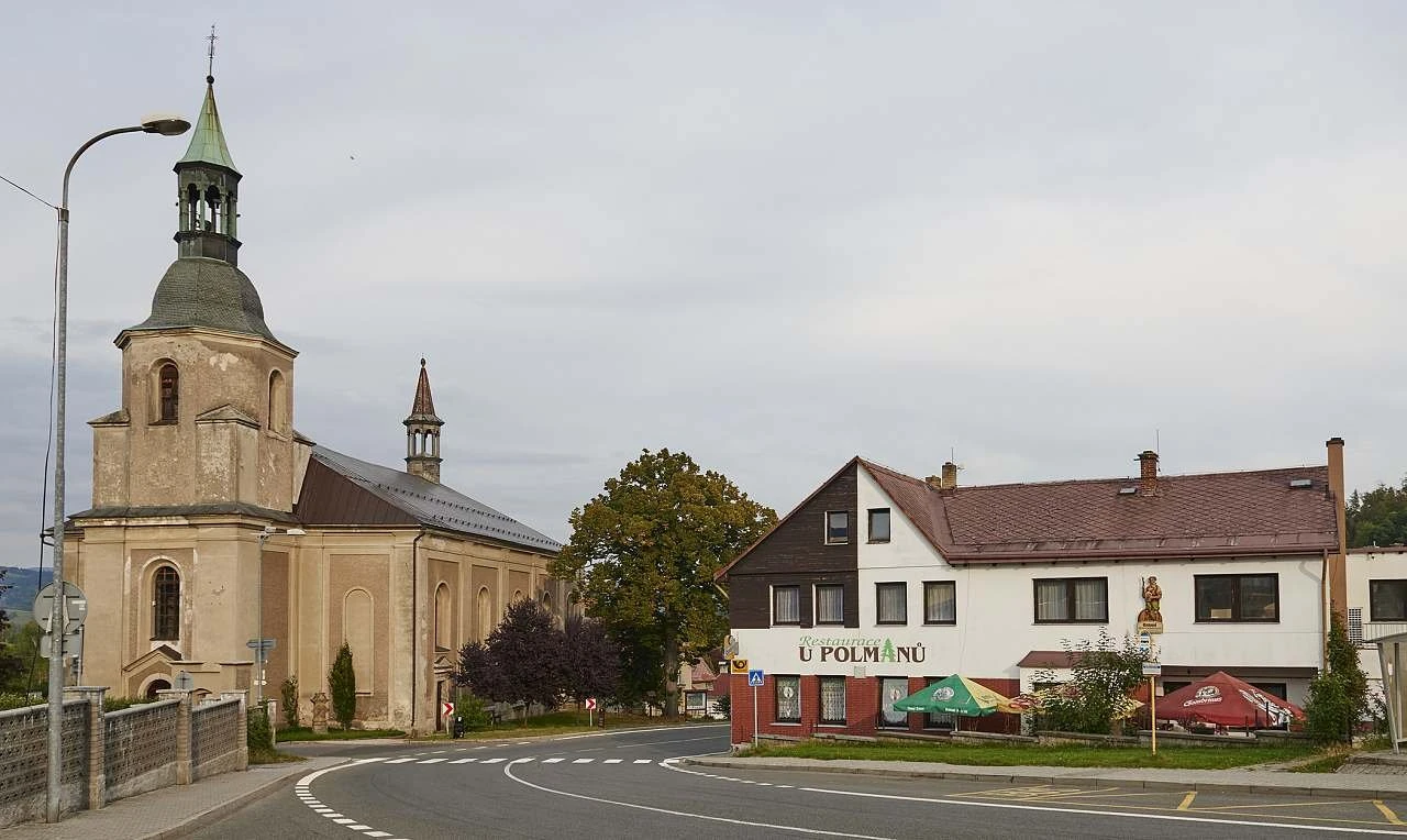 Penzion U Polmanů - Držkov