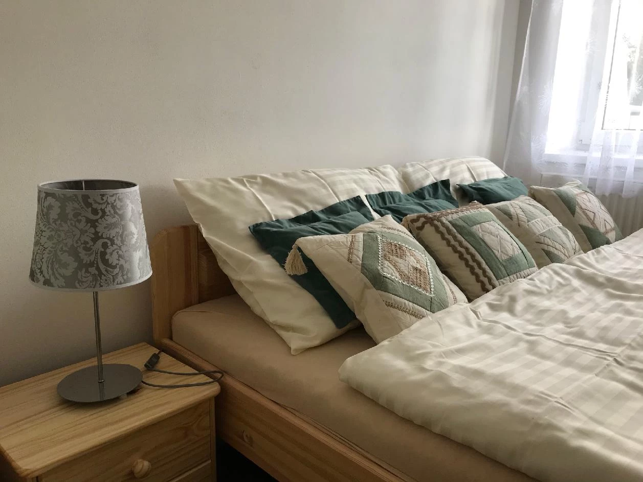 Apartmány Panorama - Železná Ruda