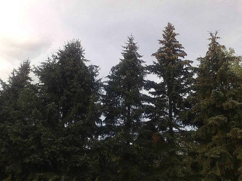 Chata Adélka Hracholusky