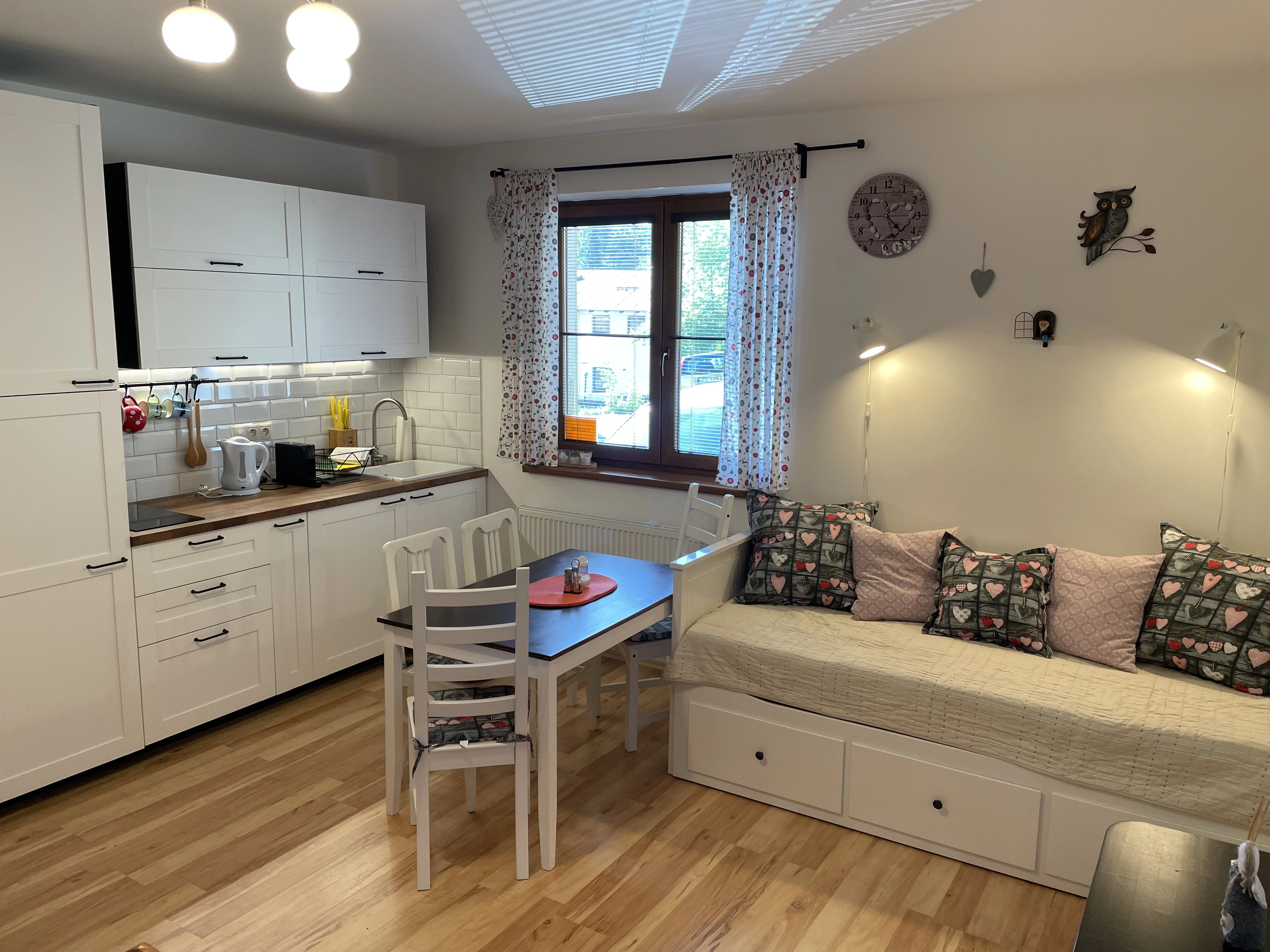 Apartmán U rysa - Železná Ruda