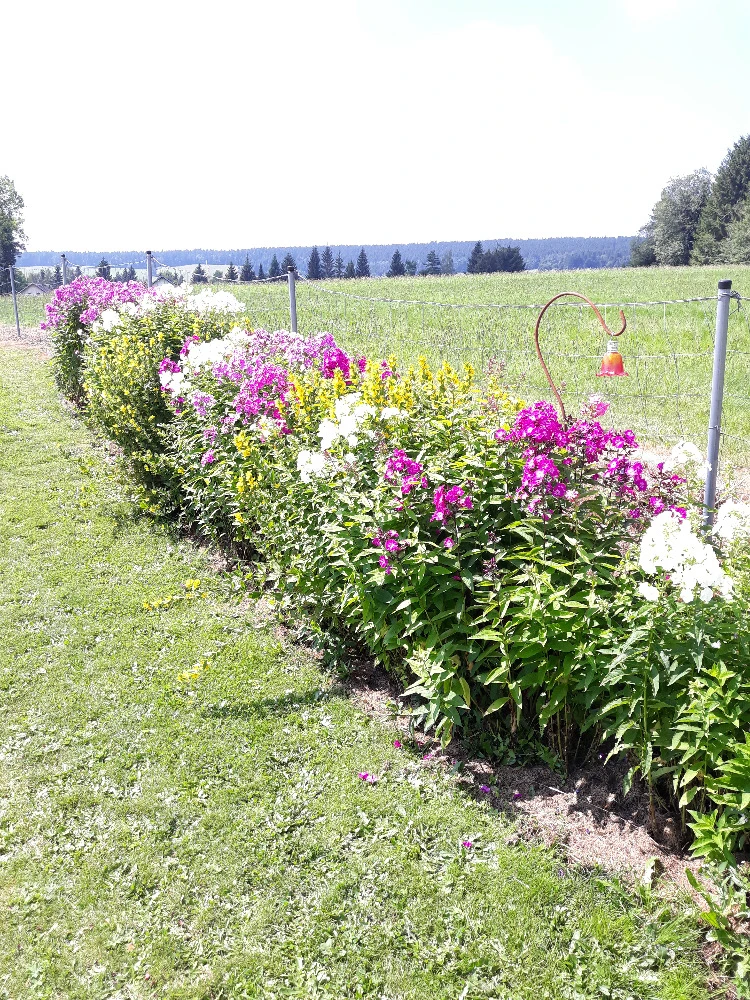 Apartmán Dům Slunce - Nové Hutě
