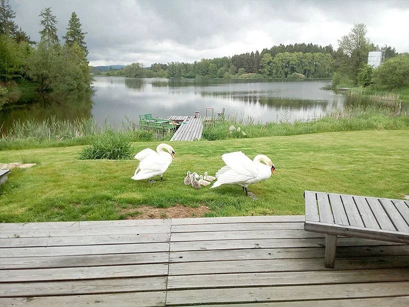 Kačárna u rybníka - ubytování na samotě