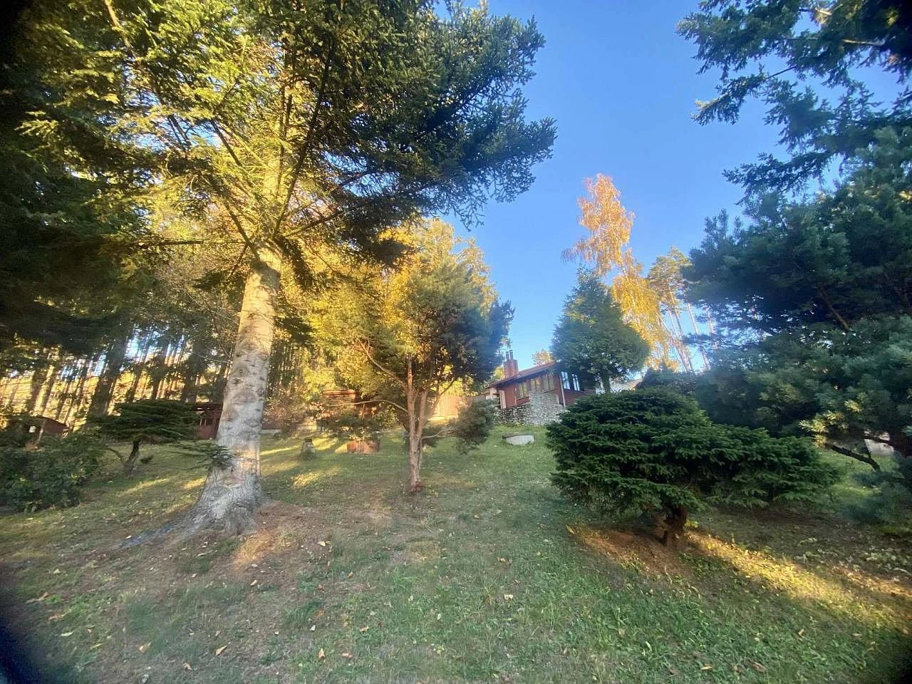 Chaloupka na Kalovech - Sušice