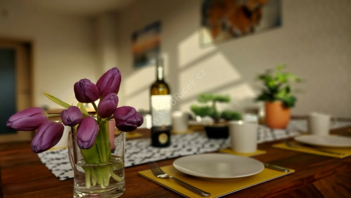 Wellness Apartmány Říčky